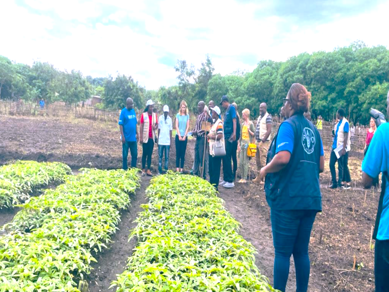 Sud-Kivu : Une délégation du BMZ et les représentations nationales de l’Unicef, du PAM et de la FAO s’enquièrent des réalisations du Projet résilience communautaire à Uvira
